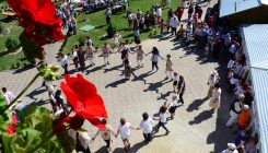 Centru pentru ingrijirea persoanelor varstnice – Harja