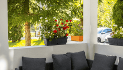 Bloom Senior Living